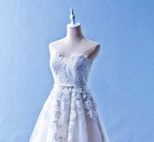 502W12 XJ High Waist Princess Guipure Lace Top Malaysia Wedding Dress Designer Rental