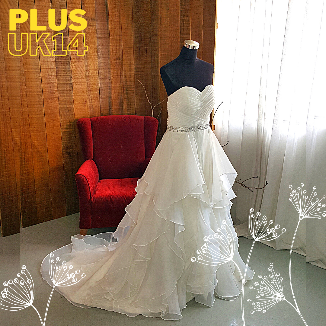 22+ Plus Size Wedding Dress Rental