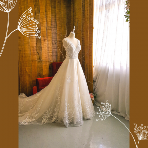 812BY02W05 Aryssa V neck illusion V back button A line a Bride Wedding Gown Premium Designer Malaysia rental