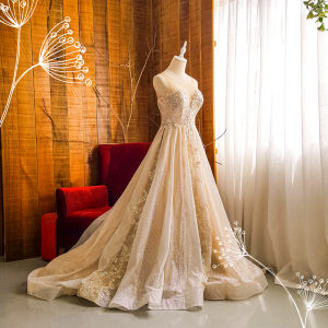 204LLE04 Taddie Gold Illusion Deep V A line a Bride Wedding Event Reception Dinner Dress rental Malaysia